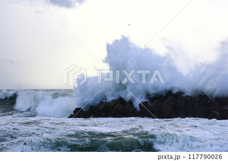 台風の波 117790026