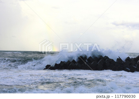 台風の波 117790030