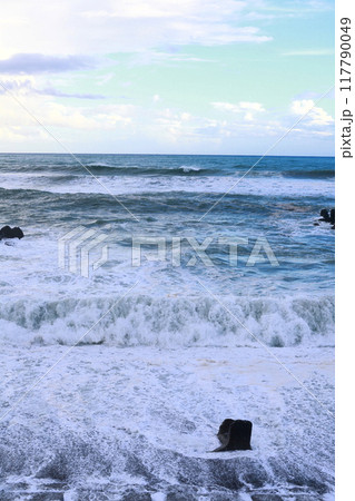 台風の波 台風の波 117790049