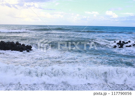 台風の波 117790056
