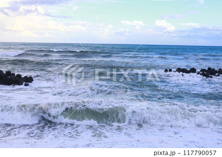 台風の波 117790057