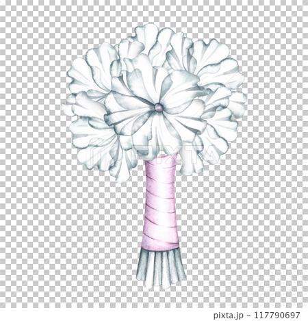 A bouquet of white flowers with a pink ribbon is the bride's wedding bouquet. Handmade watercolor illustration. For greeting and invitation cards, banners, flyers and posters, packaging, labels. 117790697
