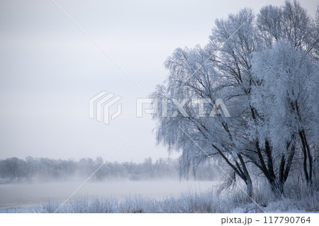 A Beautiful and Frosty Winter Landscape Showcasing Bare Trees and Misty Water Bodies 117790764