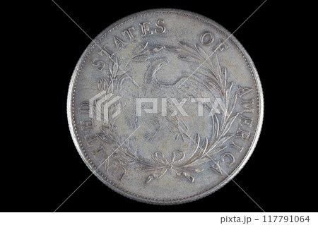 Old west period US silver dollar coin 117791064