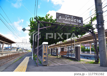 《長野県》塩尻駅のホームのぶどう園 117791382