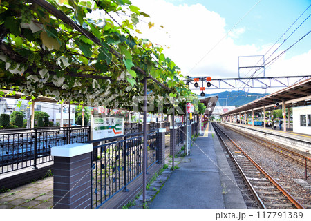 《長野県》塩尻駅のホームのぶどう園 117791389