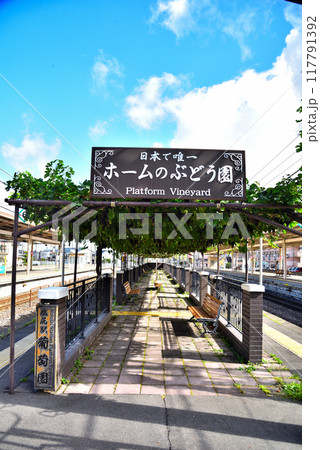 《長野県》塩尻駅のホームのぶどう園 117791392
