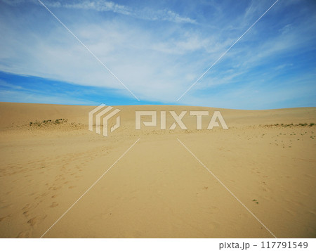鳥取砂丘の風景 鳥取砂丘の風景 117791549