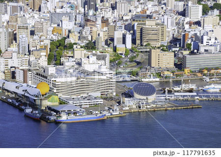 稲佐山から見た長崎の都市風景(長崎県長崎市) 稲佐山から見た長崎の都市風景(長崎県長崎市) 117791635