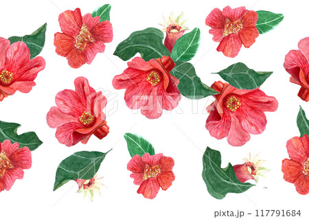 Pomegranate flowers and developing pomegranate fruit with green leafs seamless pattern isolated on white. The hand-painted vibrant watercolor artwork ideal for botanical prints, textile, wrapping Pomegranate flowers and developing pomegranate fruit with green leafs seamless pattern isolated on white. The hand-painted vibrant watercolor artwork ideal for botanical prints, textile, wrapping 117791684
