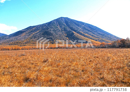 晩秋の戦場ヶ原自然研究路(戦場ヶ原展望台付近)【栃木県日光市】 晩秋の戦場ヶ原自然研究路(戦場ヶ原展望台付近)【栃木県日光市】 117791738
