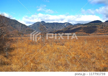 晩秋の戦場ヶ原自然研究路（戦場ヶ原展望台付近）【栃木県日光市】 117791739