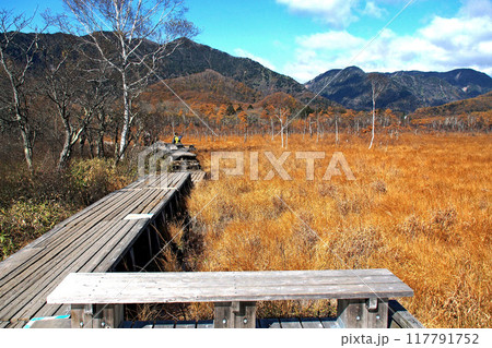 晩秋の戦場ヶ原自然研究路（戦場ヶ原展望台付近）【栃木県日光市】 117791752