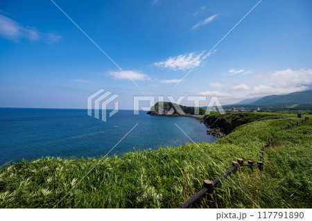 富士野園地 117791890