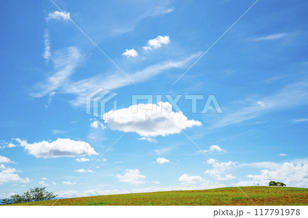 夏の青空と雲 117791978