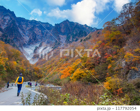 紅葉の一ノ倉沢を行く 117792054
