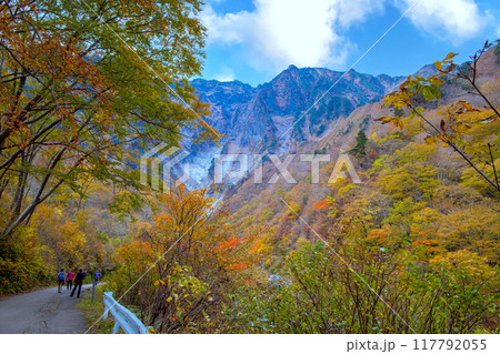 秋の一ノ倉沢出合 117792055