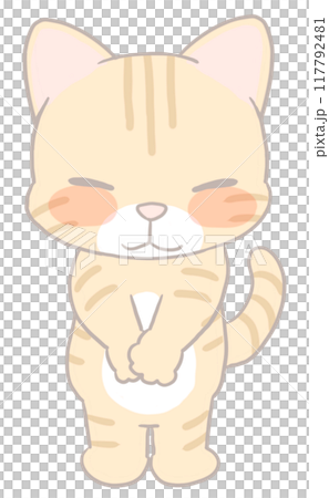 お礼をする茶トラの猫 お礼をする茶トラの猫 117792481