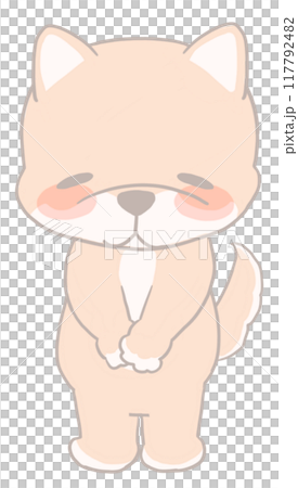 Shiba Inu giving thanks 117792482