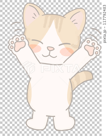 Brown tabby cat waving 117792483