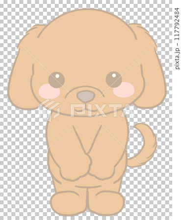 Dachshund giving thanks 117792484