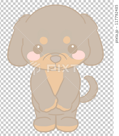 Dachshund giving thanks 117792485