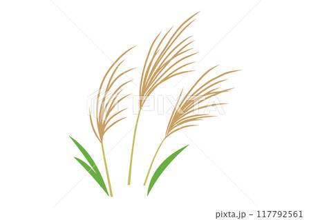 ススキのイラスト 117792561
