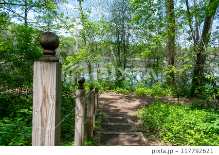 A walking path to the horizon in a local state park surrounded by lush greenery. 117792621