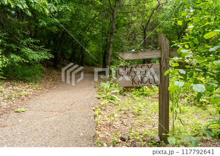 A walking path to the horizon in a local state park surrounded by lush greenery. A walking path to the horizon in a local state park surrounded by lush greenery. 117792641