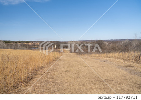 A walking path to the horizon in a local state park surrounded by winter trees. A walking path to the horizon in a local state park surrounded by winter trees. 117792711