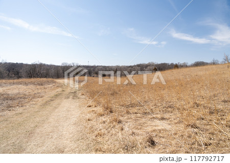 A walking path to the horizon in a local state park surrounded by winter trees. A walking path to the horizon in a local state park surrounded by winter trees. 117792717