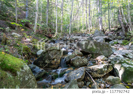 A beautiful view of a waterfall hidden away in a lush and green forest. 117792742