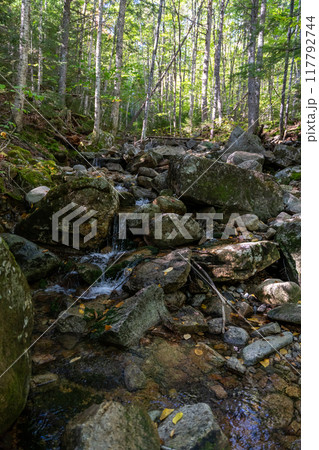 A beautiful view of a waterfall hidden away in a lush and green forest. 117792744