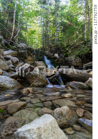 A beautiful view of a waterfall hidden away in a lush and green forest. 117792759