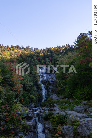 A beautiful view of a waterfall hidden away in a lush and green forest. 117792760