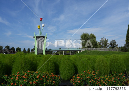 砺波市にあるチューリップ公園の夏風景 砺波市にあるチューリップ公園の夏風景 117792838