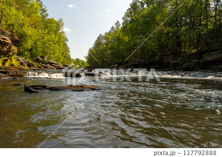 A gorgeous view of water near trees and plants at a local park in Minnesota. 117792888