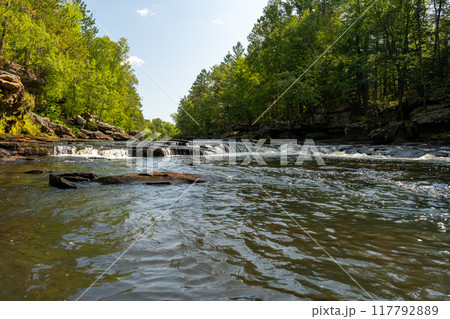 A gorgeous view of water near trees and plants at a local park in Minnesota. 117792889
