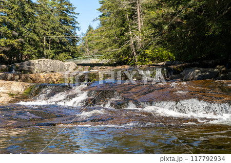 A gorgeous view of water near trees and plants at a local park in Minnesota. 117792934