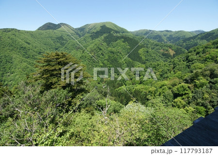 鳥取 四季の散歩 春 三徳山 鳥取 四季の散歩 春 三徳山 117793187