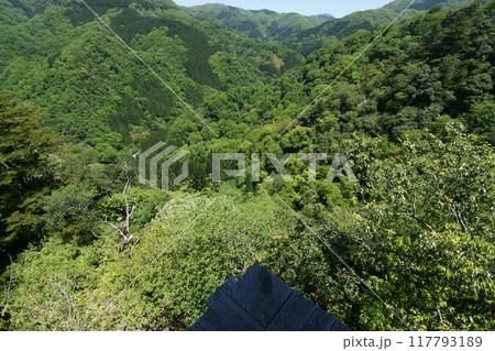 鳥取　四季の散歩　春　三徳山 117793189