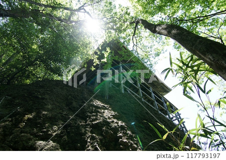 鳥取 四季の散歩 春 三徳山 鳥取 四季の散歩 春 三徳山 117793197