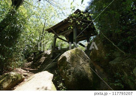 鳥取　四季の散歩　春　三徳山 117793207