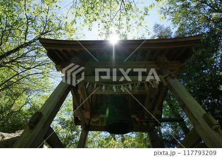 鳥取　四季の散歩　春　三徳山 117793209