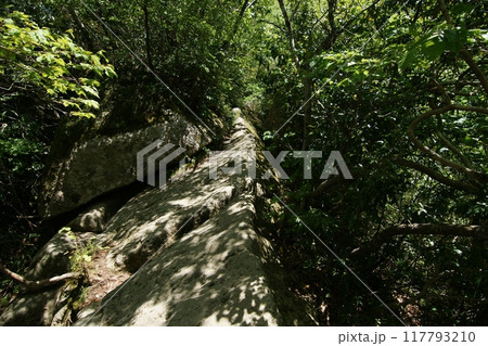 鳥取　四季の散歩　春　三徳山 117793210
