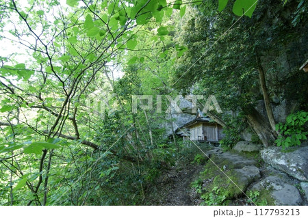 鳥取　四季の散歩　春　三徳山 117793213