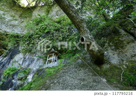 鳥取　四季の散歩　春　三徳山 117793218