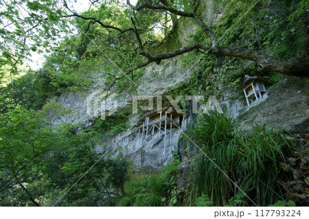 鳥取 四季の散歩 春 三徳山 鳥取 四季の散歩 春 三徳山 117793224