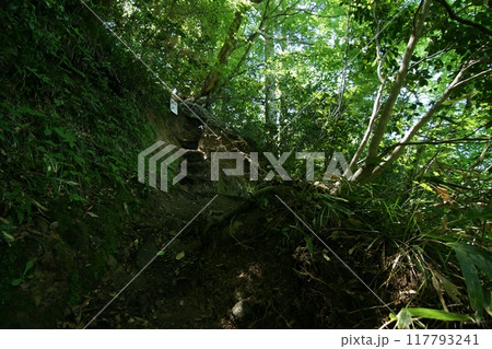 鳥取　四季の散歩　春　三徳山 117793241