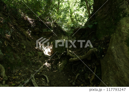 鳥取　四季の散歩　春　三徳山 117793247